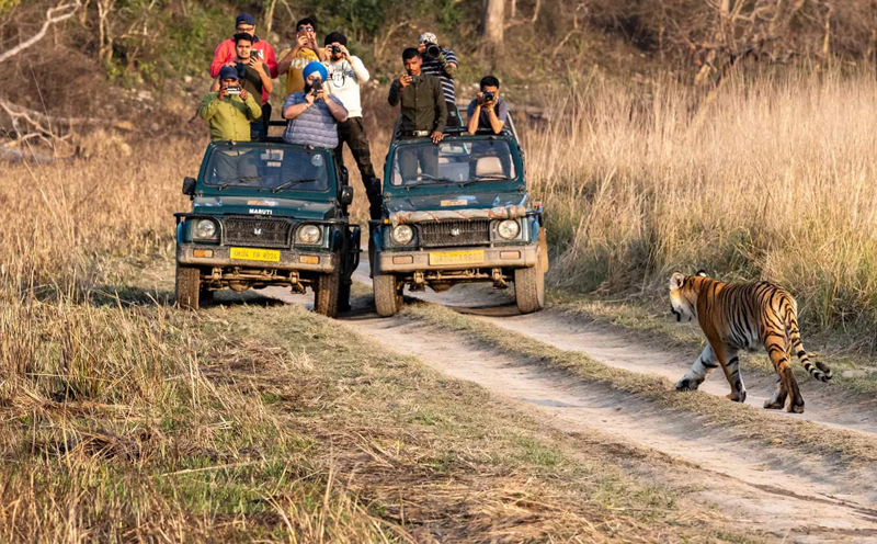 Corbett with Haridwar Rishikesh & Mussoorie Tour