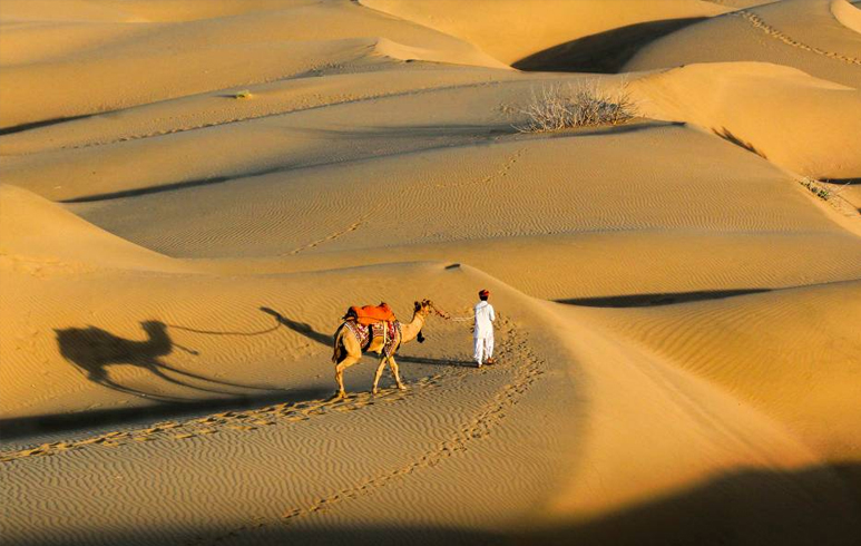 desert safari jaisalmer