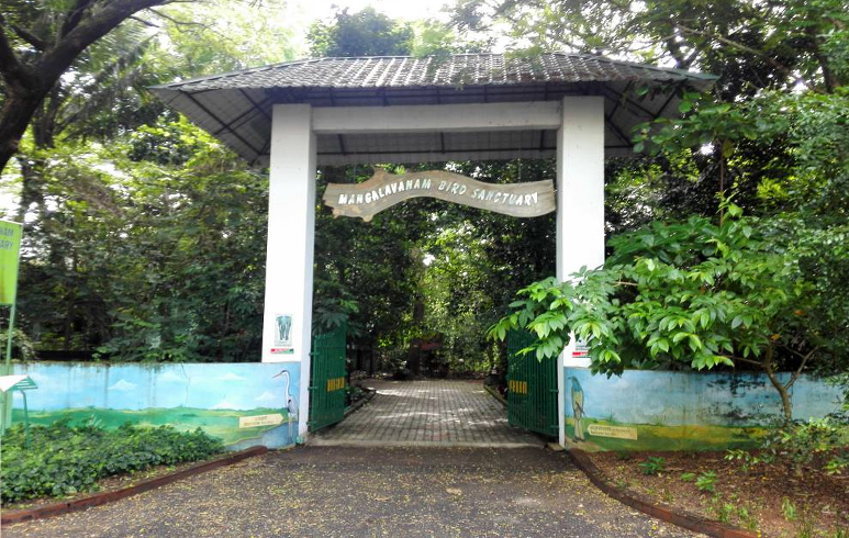 Mangalavanam (Mangrove Forest), Ernakulam