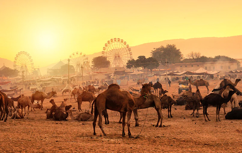 Pushkar Fair