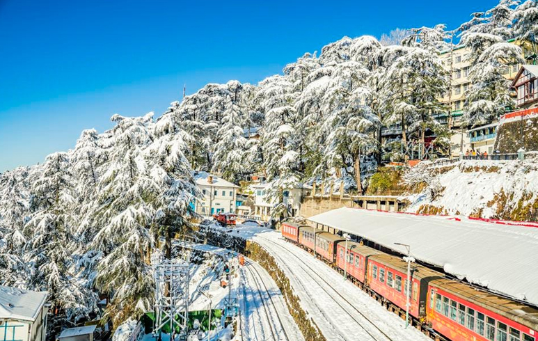 Shimla Manali Dharamshala Tour Package From Delhi