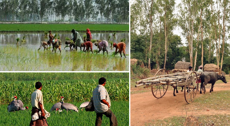 Village uttar pradesh India